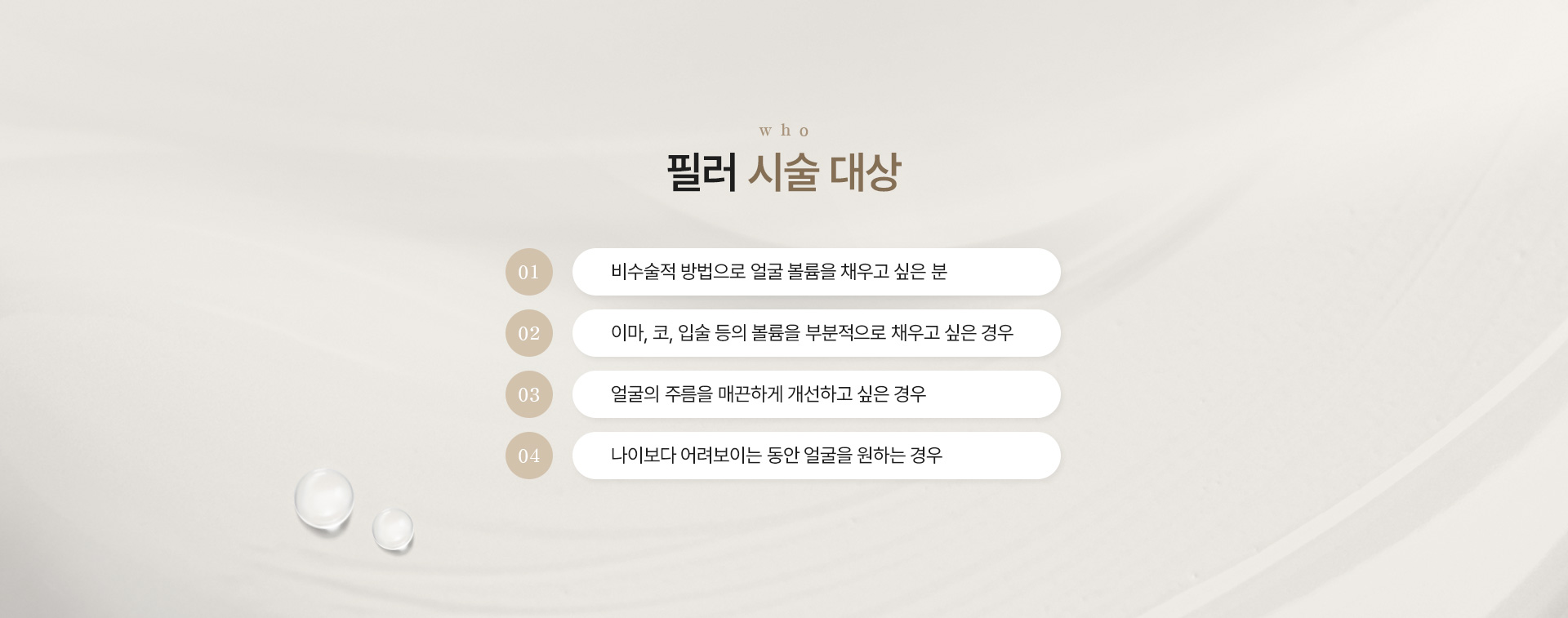 필러 대상