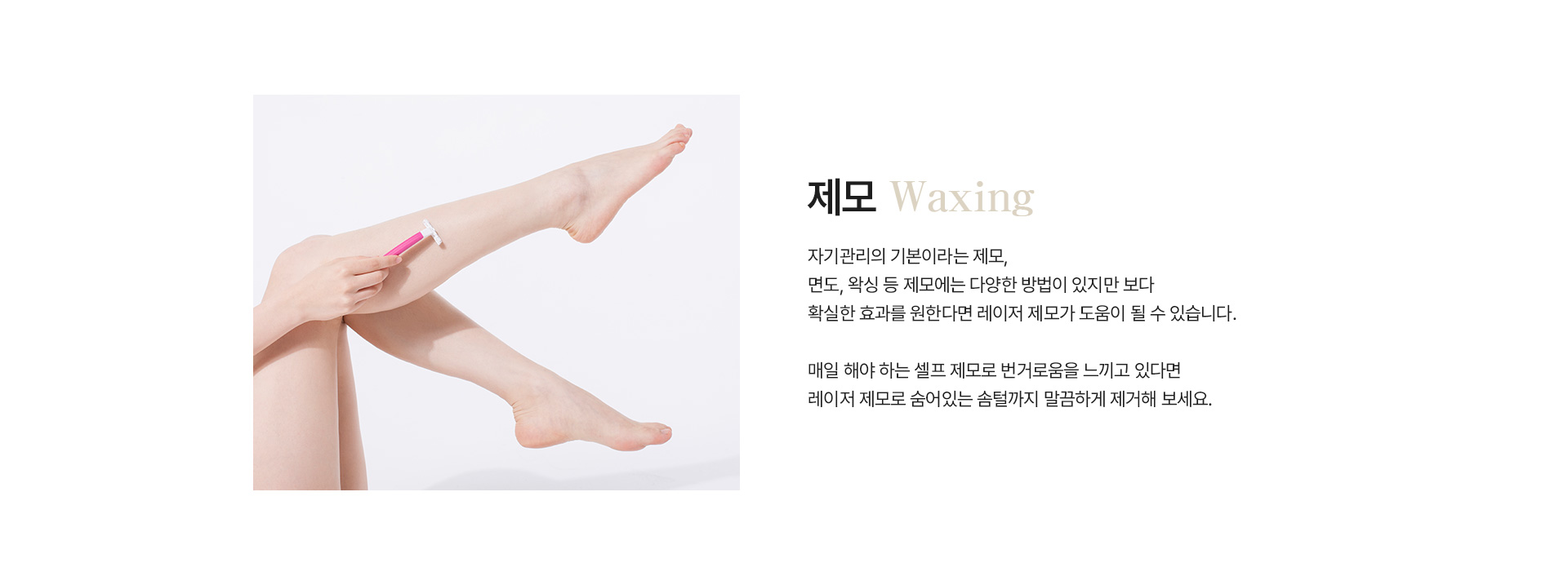 제모 정의