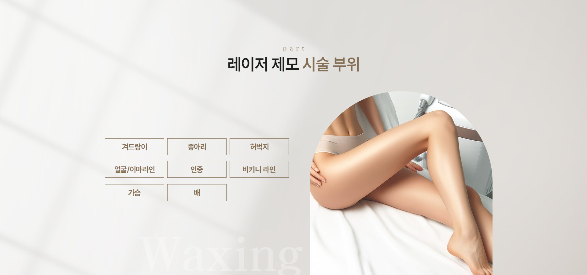 제모 부위
